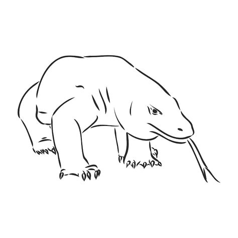 dragão de komodo desenho|Desenho Dragao Komodo Imagens – Download Grátis no Freepik